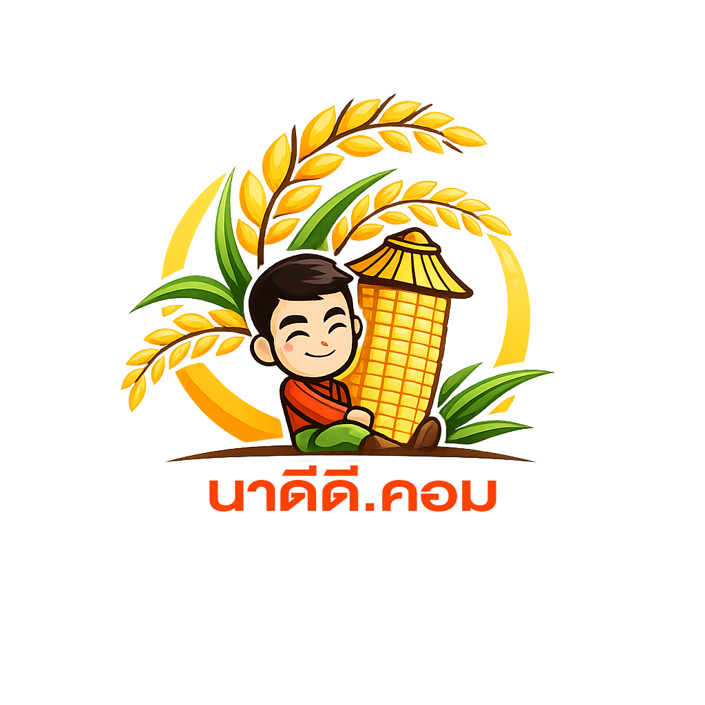 นาดีดี.คอม